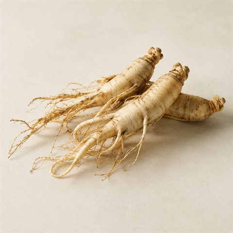 Radice di ginseng essiccata dalla forma ramificata beige chiaro