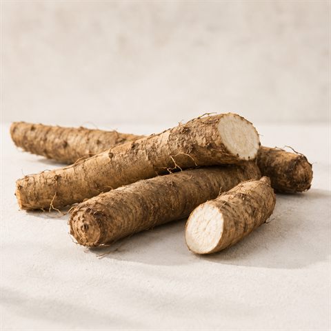Burdock root, dried brown pieces of greater burdock.