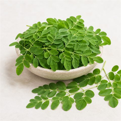 Moringa