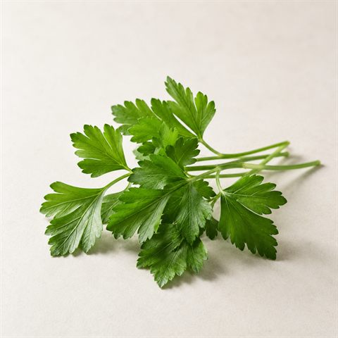 Fresh, finely cut parsley leaves, bright green