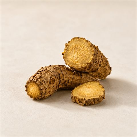 Radice di rodiola essiccata in pezzi irregolari bruno dorato