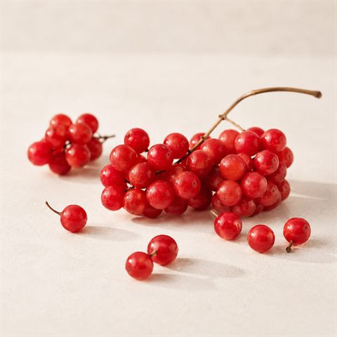 Schisandra (bær), tørrede røde til rødbrune bær.